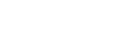 WeWeb Solutions Logo white